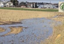 Λύματα της ντροπής στην Ηλιούπολη: Το Πράσινο κόμμα της Κύπρου καταγγέλλει την αδιαφορία της πολιτείας