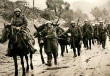 Τιμούμε το “Όχι” — Υπερασπιζόμαστε το μέλλον – Το μήνυμα του Πράσινου Κόμματος