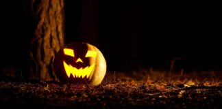 Halloween: Η γιορτή που τρομάζει το… περιβάλλον