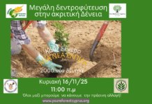 Πράσινη Ασπίδα και ακριτική κοινότητα Δένειας ενώνουν δυνάμεις φυτεύοντας 2000 νεα δέντρα Κυριακή 16 Νοεβρίου