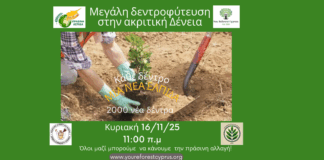 Πράσινη Ασπίδα και ακριτική κοινότητα Δένειας ενώνουν δυνάμεις φυτεύοντας 2000 νεα δέντρα Κυριακή 16 Νοεβρίου