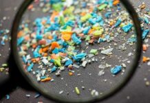 Μια πιστωτική κάρτα την εβδομάδα: Πρωτογενή μικροπλαστικά από την παραγωγή στο πιάτο μας