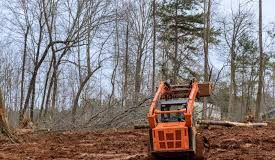 Σοβαρή περιβαλλοντική παραβίαση στην Πάφο – Άμεση αντίδραση από το Πράσινο Κόμμα της Κύπρου