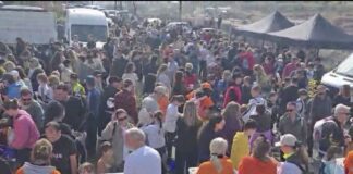 Η Πράσινη Ασπίδα και μια κοσμοθάλασσα πολιτών ξαναφύτεψαν την ελπίδα στο Σούνι, χωρίς κράτος και ΜΜΕ