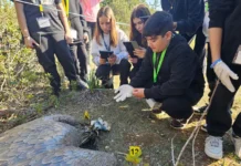 Στο χείλος της εξαφάνισης: Μαθητές εξιχνιάζουν έγκλημα κατά του Γύπα