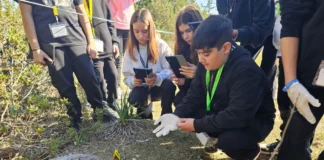 Στο χείλος της εξαφάνισης: Μαθητές εξιχνιάζουν έγκλημα κατά του Γύπα