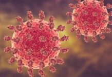 Ινδία και Nipah: Χαμηλός ο κίνδυνος, αυξημένη η επαγρύπνηση σύμφωνα με τον ΠΟΥ