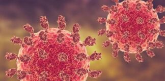 Ινδία και Nipah: Χαμηλός ο κίνδυνος, αυξημένη η επαγρύπνηση σύμφωνα με τον ΠΟΥ