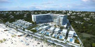 Σπάνιο πουλί βραχοπλουμίδι, εμπόδιο για την έκδοση περιβαλλοντικών αδειών στο παραλιακό μέτωπο Σωτήρας και Λιοπετρίου